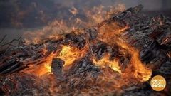 Леса горят. Доброе утро. Фрагмент выпуска от 17.04.2017