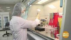 Чума свиней и все о ней. Доброе утро. Фрагмент выпуска от 25.04.2017