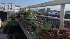 Огород на балконе. Доброе утро. Фрагмент выпуска от 08.05.2015