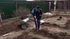 Садовые работы: поаккуратнее надо… Доброе утро. Фрагмент выпуска от 29.04.2015