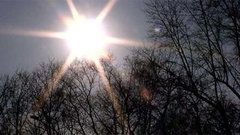 Как расцвести весной. И без затрат! Доброе утро. Фрагмент выпуска от 16.04.2015