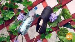 Защищаем уличную розетку от дождя. Доброе утро. Фрагмент выпуска от 06.07.2017