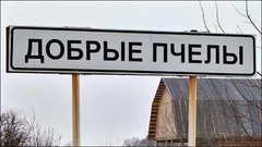Где находятся «Добрые пчeлы»? Доброе утро. Фрагмент выпуска от 13.03.2015