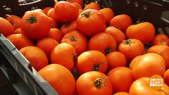 Через тернии — к рынку. Доброе утро. Фрагмент выпуска от 27.10.2017