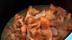 Лисички в мультиварке. Доброе утро. Фрагмент выпуска от 31.08.2015