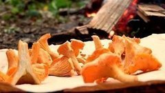 Как засушить грибы. Доброе утро. Фрагмент выпуска от 28.08.2015