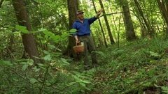 Как не заблудиться в лесу. Доброе утро. Фрагмент выпуска от 27.08.2015