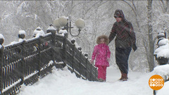 «Снегопад века» в цифрах и фактах. Доброе утро. Фрагмент выпуска от 06.02.2018