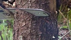 Пилим правильно. Доброе утро. Фрагмент выпуска от 04.08.2015