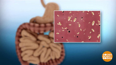 С днем рождения, микробы! Доброе утро. Фрагмент выпуска от 26.02.2018