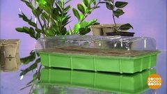 Мини-парники для рассады. Доброе утро. Фрагмент выпуска от 23.03.2018