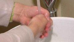 Где живут вирусы? Доброе утро. Фрагмент выпуска от 09.10.2015