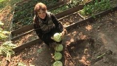 Как сохранить урожай капусты. Доброе утро. Фрагмент выпуска от 16.10.2015