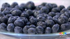 Три ягоды для снижения давления. Жить здорово! Фрагмент выпуска от 23.07.2018