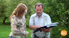 Садовое товарищество: председатель всегда прав? Доброе утро. Фрагмент выпуска от 13.08.2018