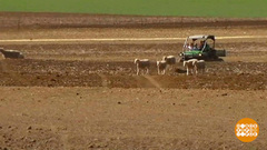 В мире. Последствия засухи. Доброе утро. Фрагмент выпуска от 05.09.2018