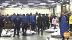 В мире. Новый рыбный рынок. Доброе утро. Фрагмент выпуска от 22.10.2018