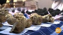 В мире. Климат и трюфели. Доброе утро. Фрагмент выпуска от 11.12.2018