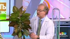 Проклятья вашего дома. Жить здорово! Фрагмент выпуска от 11.12.2018