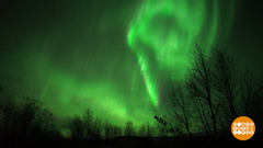 Вперед, за северным сиянием! Доброе утро. Фрагмент выпуска от 11.01.2019