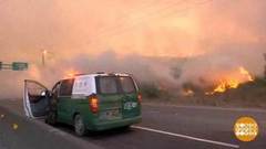 В мире. Рекордные пожары. Доброе утро. Фрагмент выпуска от 15.03.2019