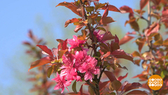 Страна цветет! Доброе утро. Фрагмент выпуска от 06.05.2019