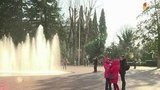 Гости Олимпиады в Сочи смогут оценить все достоинства города-курорта
