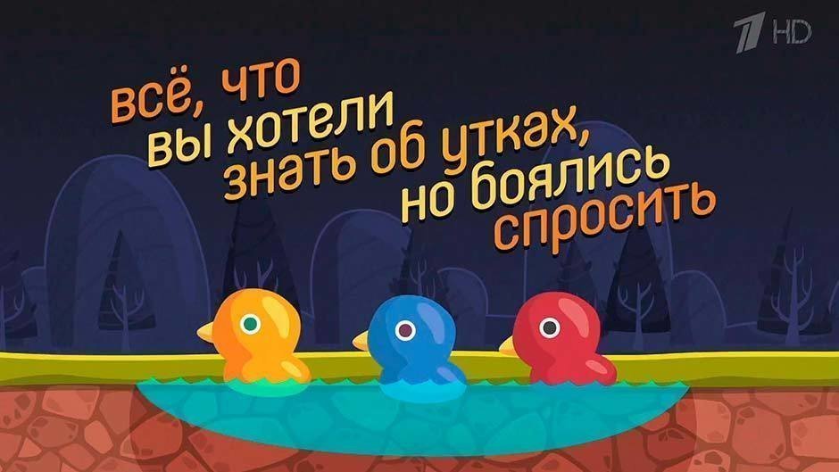 Боюсь спросить чем. Всё что хотели знать но боялись спросить. Карусель все что вы хотели знать но боялись спросить. Всë что вы хотели знать но боялись спросить. Всё что вы хотели знать но боялись спросить на канале Карусель