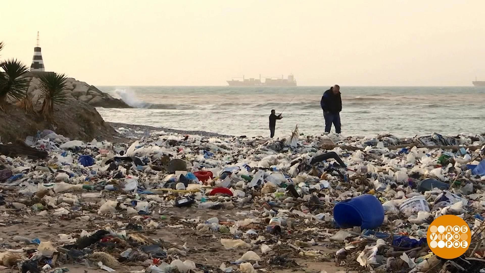 На берег выброшен грозою. Берег моря с мусором. Свалка на берегу моря.