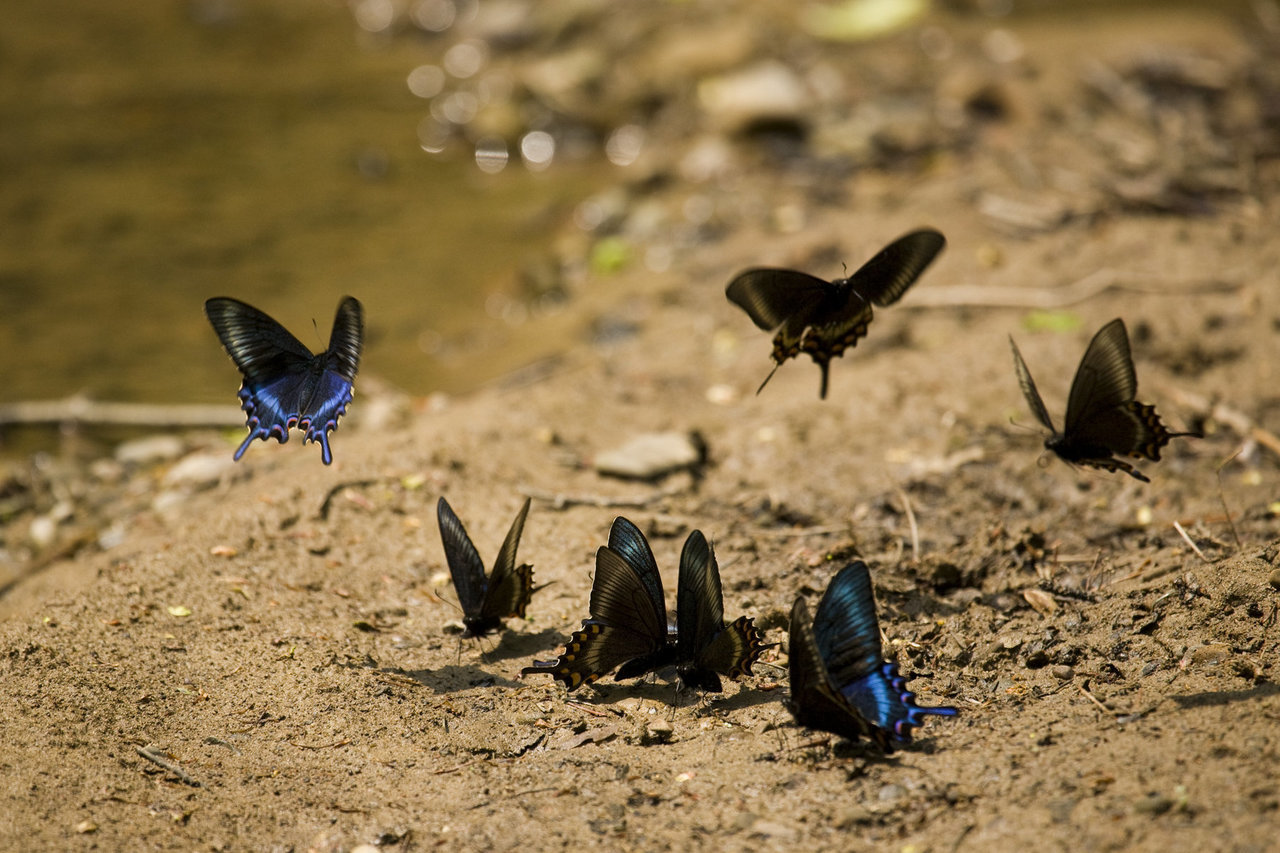 «Россия от края до края. Дальний Восток». Документальный фильм