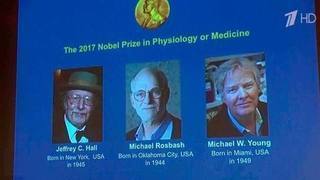 Нобелевская премия по медицине присуждена группе ученых из США