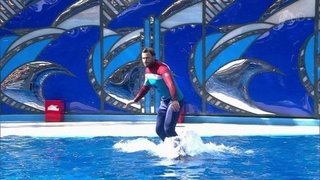 Максим Маринин. Выступление. Вместе с дельфинами. Фрагмент выпуска от 10.10.2015