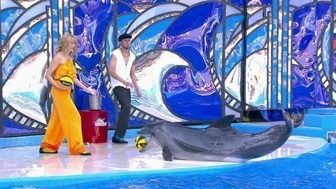 Светлана Журова. Выступление. Вместе с дельфинами. Фрагмент выпуска от 03.10.2015