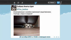 Твиттер звездных животных. Вечерний Ургант. Фрагмент выпуска от 25.10.2012