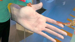 Жить здорово! Выпуск от 27.06.2014