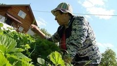 Дача. Жара. Сердце. Доброе утро. Фрагмент выпуска от 08.07.2016