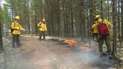 Как тушат лесные пожары. Доброе утро. Фрагмент выпуска от 21.07.2016