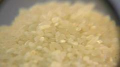 Круглозерный рис. Доброе утро. Фрагмент выпуска от 10.11.2016