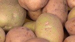 Зачем нужна картошка. Доброе утро. Фрагмент выпуска от 18.06.2015