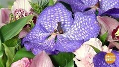 Цветочный бум. Доброе утро. Фрагмент выпуска от 07.03.2017