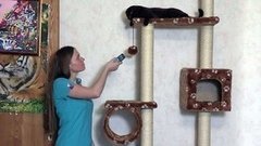 Животные. Перевод с кошачьего. Доброе утро. Фрагмент выпуска от 21.05.2015