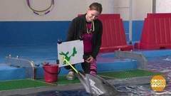 Что рисует дельфин Вася? Доброе утро. Фрагмент выпуска от 16.05.2017