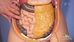 Что нужно знать о кишечнике. Жить здорово! Фрагмент выпуска от 18.05.2017