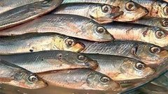 Килька пряного посола. Доброе утро. Фрагмент выпуска от 15.04.2015