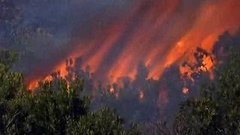 Горит Столовая гора. Доброе утро. Фрагмент выпуска от 19.03.2015