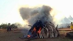 В мире. Костер из бивней. Доброе утро. Фрагмент выпуска от 18.03.2015