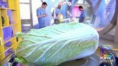 Китайская капуста. Жить здорово! Фрагмент выпуска от 07.02.2013