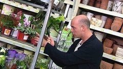 Цветы в горшках. Доброе утро. Фрагмент выпуска от 06.03.2015