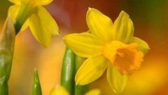 Идеальный подарок к 8 марта. Доброе утро. Фрагмент выпуска от 04.03.2015