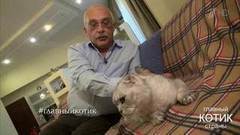 Два магистра: Александр Друзь и его кот. Главный котик страны. Фрагмент выпуска от 08.10.2017